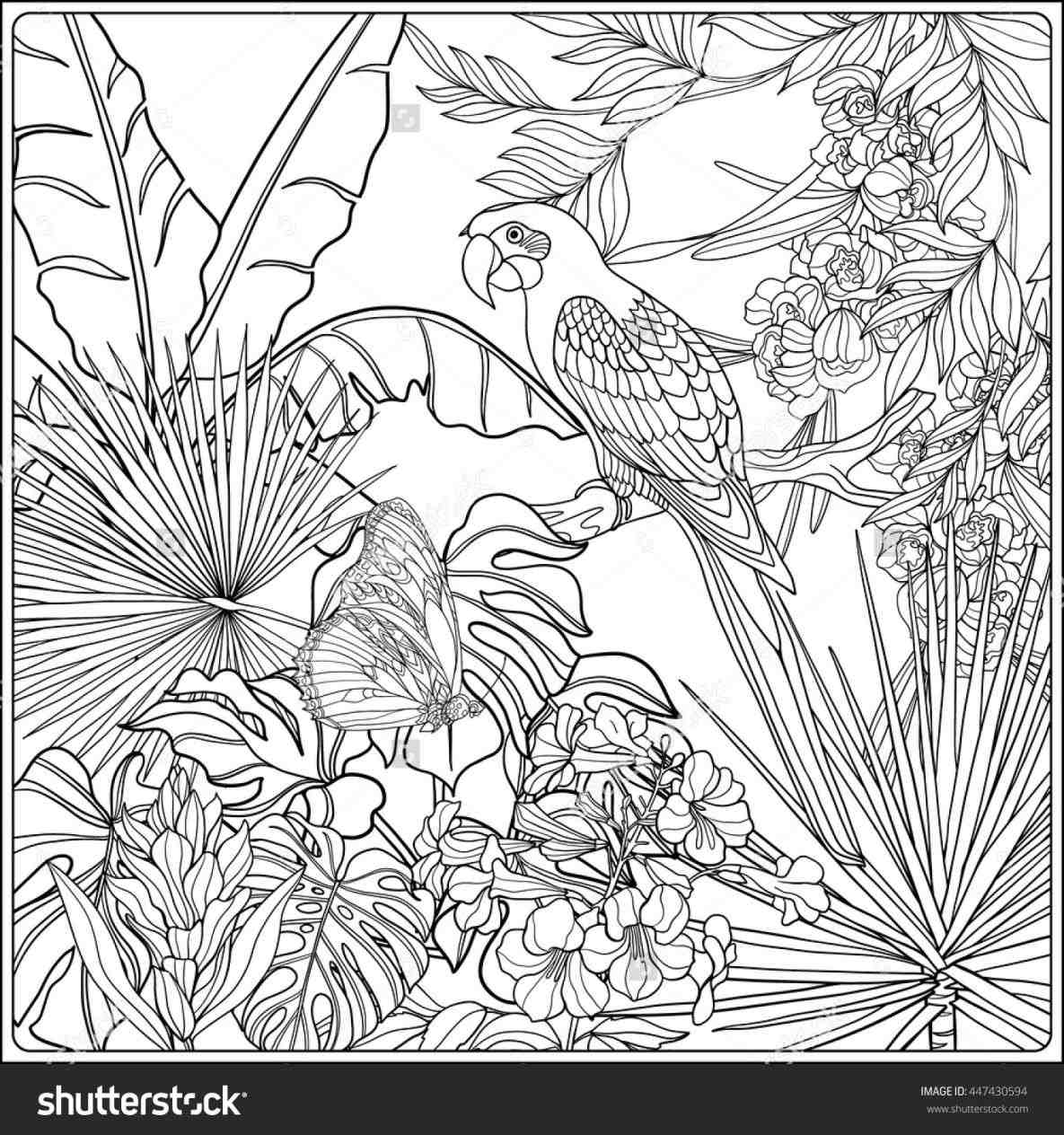 jungle-printable-coloring-pages