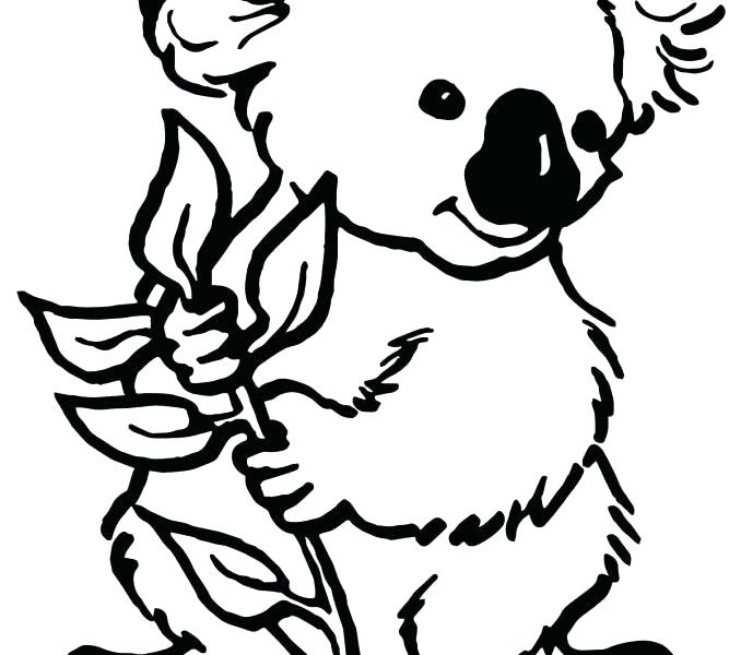 Koala Coloring Pages At Getdrawings 