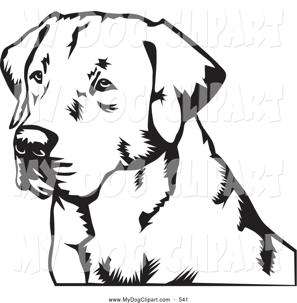 Lab Dog Coloring Pages at GetDrawings | Free download