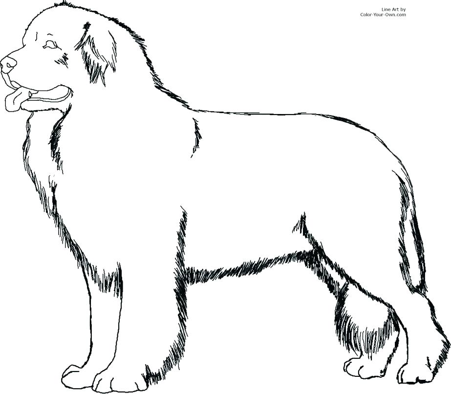 Lab Puppy Coloring Pages at GetDrawings | Free download