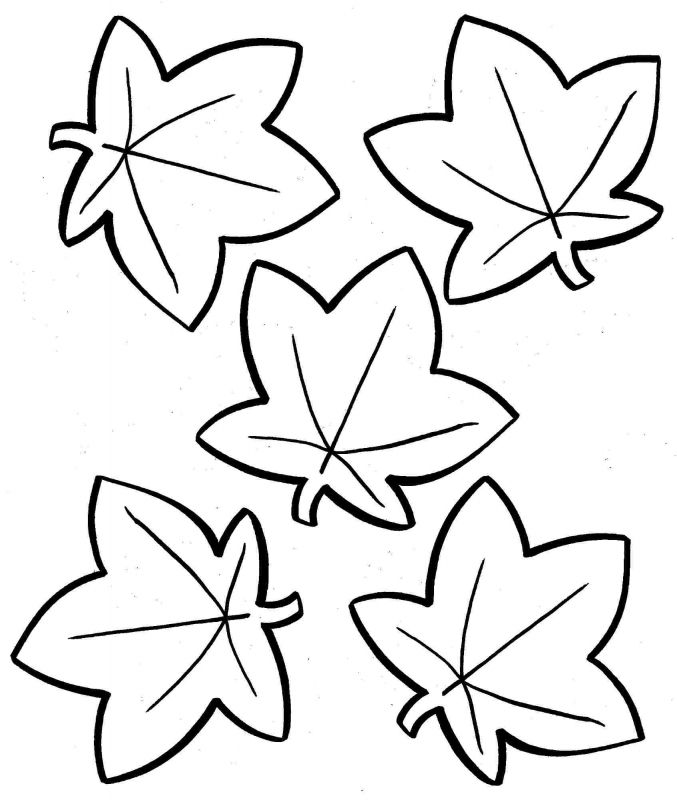 Leaf Vine Drawing At GetDrawings Free Download