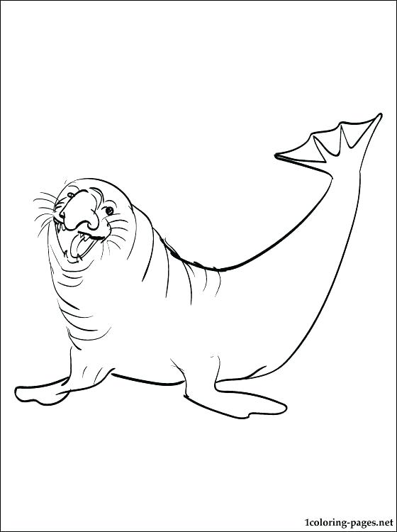 Leopard Seal Coloring Pages at GetDrawings | Free download