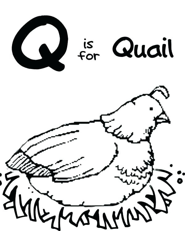 Letter Q Coloring Pages Preschool at GetDrawings | Free download