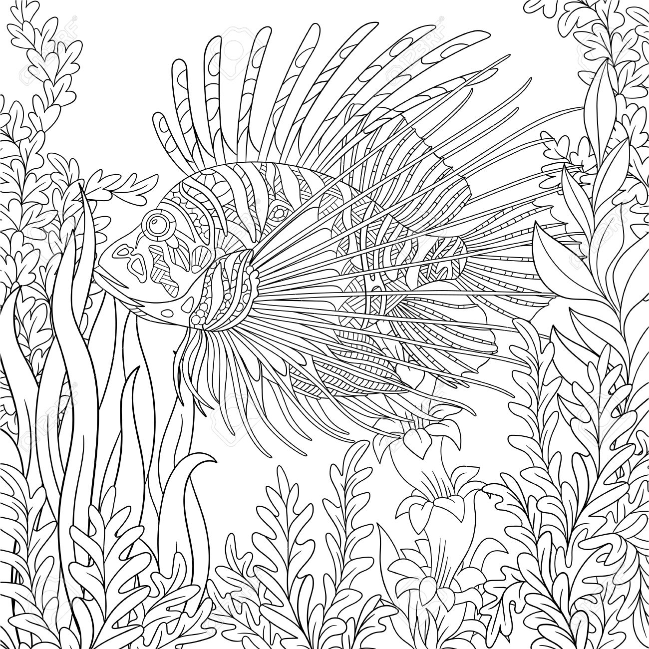 Lionfish Coloring Page at GetDrawings | Free download