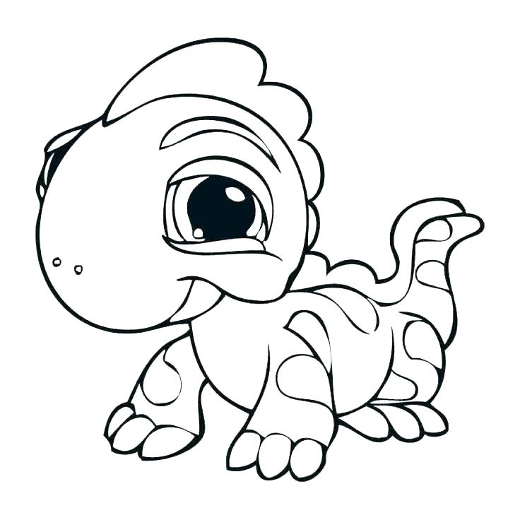 Lizard Coloring Pages At Getdrawings Free Download