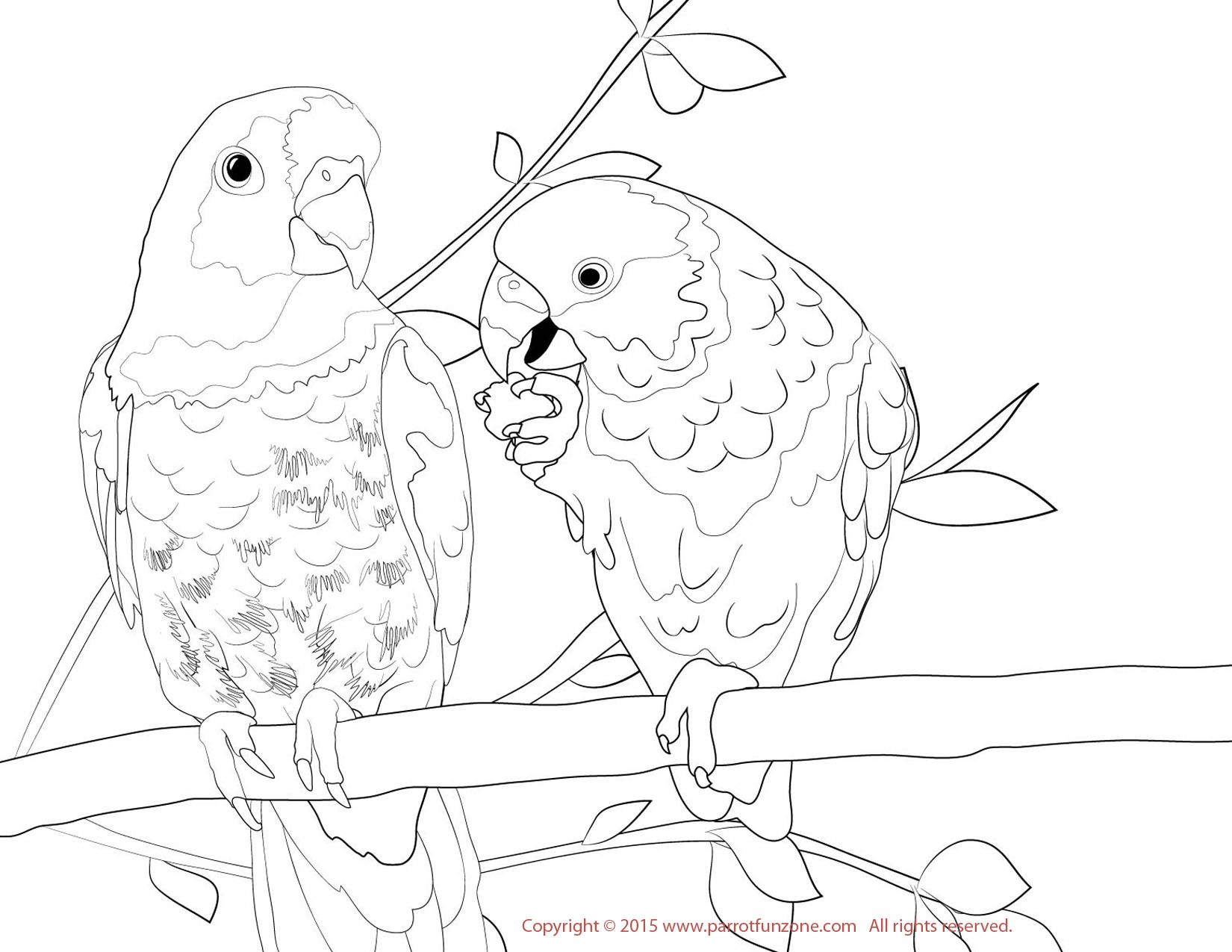 Love Bird Coloring Pages at GetDrawings.com | Free for personal use