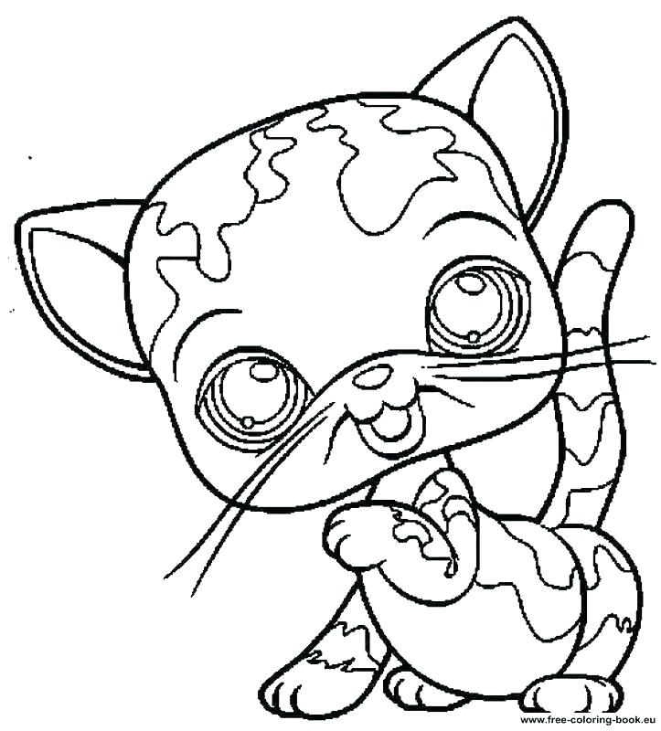 Lps Cat Coloring Pages at GetDrawings | Free download