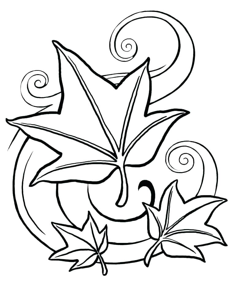 Maple Leaf Coloring Page at GetDrawings | Free download