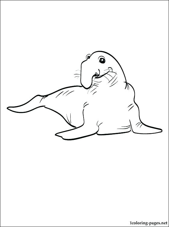 33 Luther's Seal Coloring Pages - Zsksydny Coloring Pages