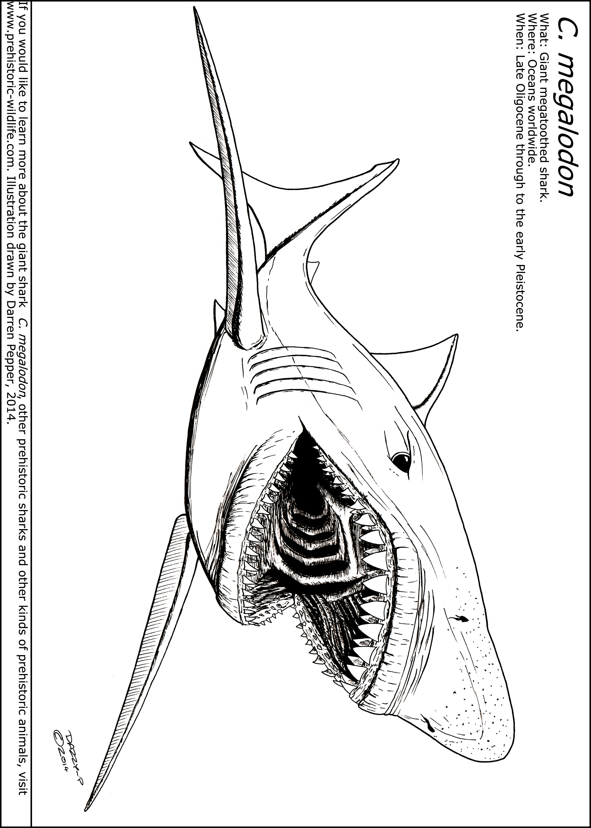 2362x3307 Megalodon Coloring Pages.