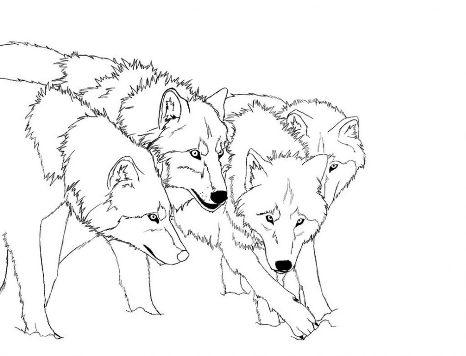 Minecraft Wolf Coloring Pages at GetDrawings | Free download