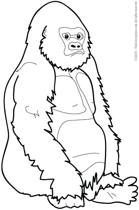 Mountain Gorilla Coloring Pages at GetDrawings | Free download