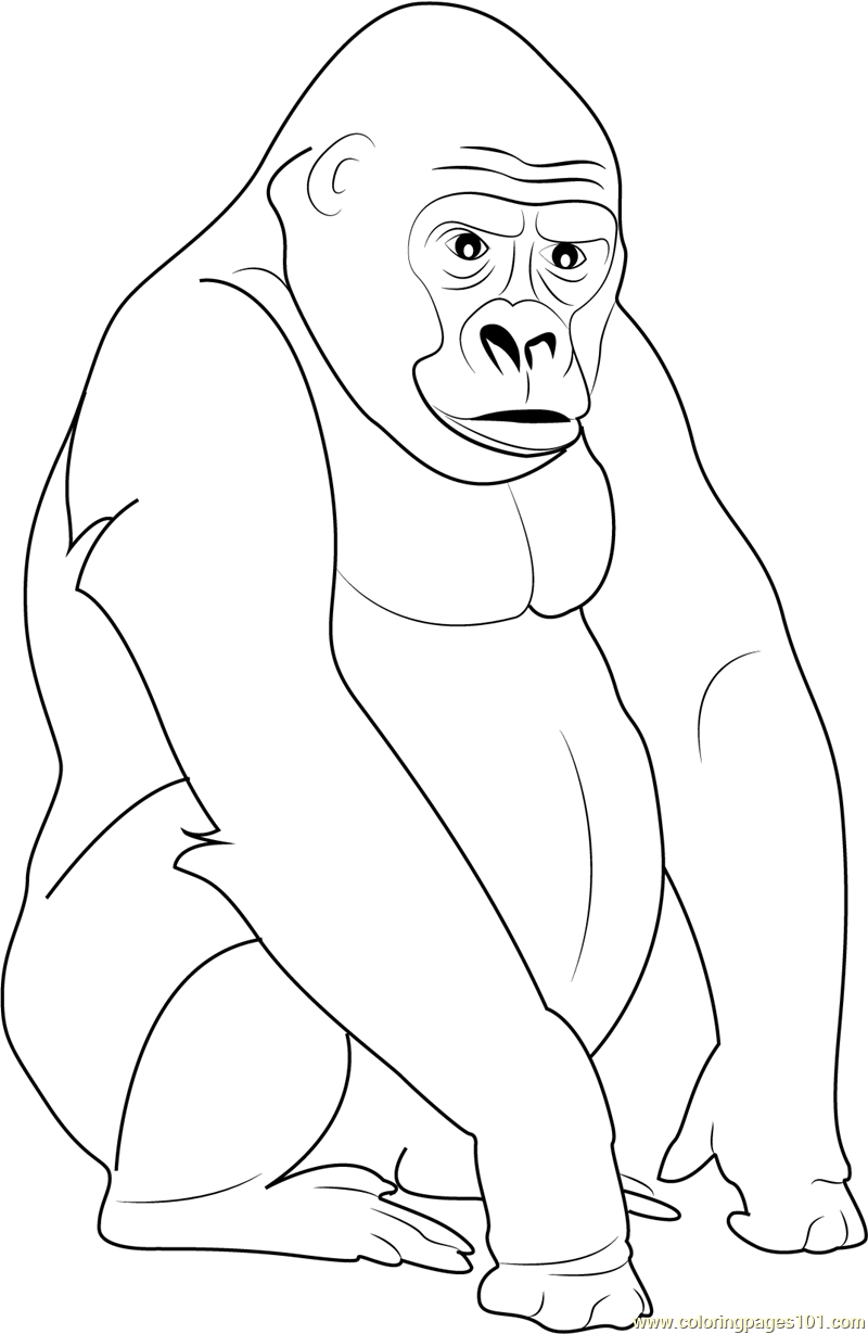 Mountain Gorilla Coloring Pages At GetDrawings Free Download