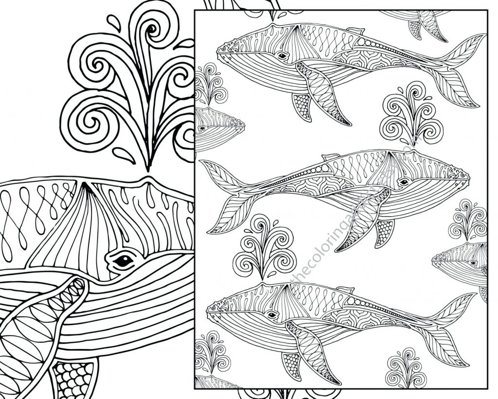 nautical-coloring-pages-print-at-getdrawings-free-download