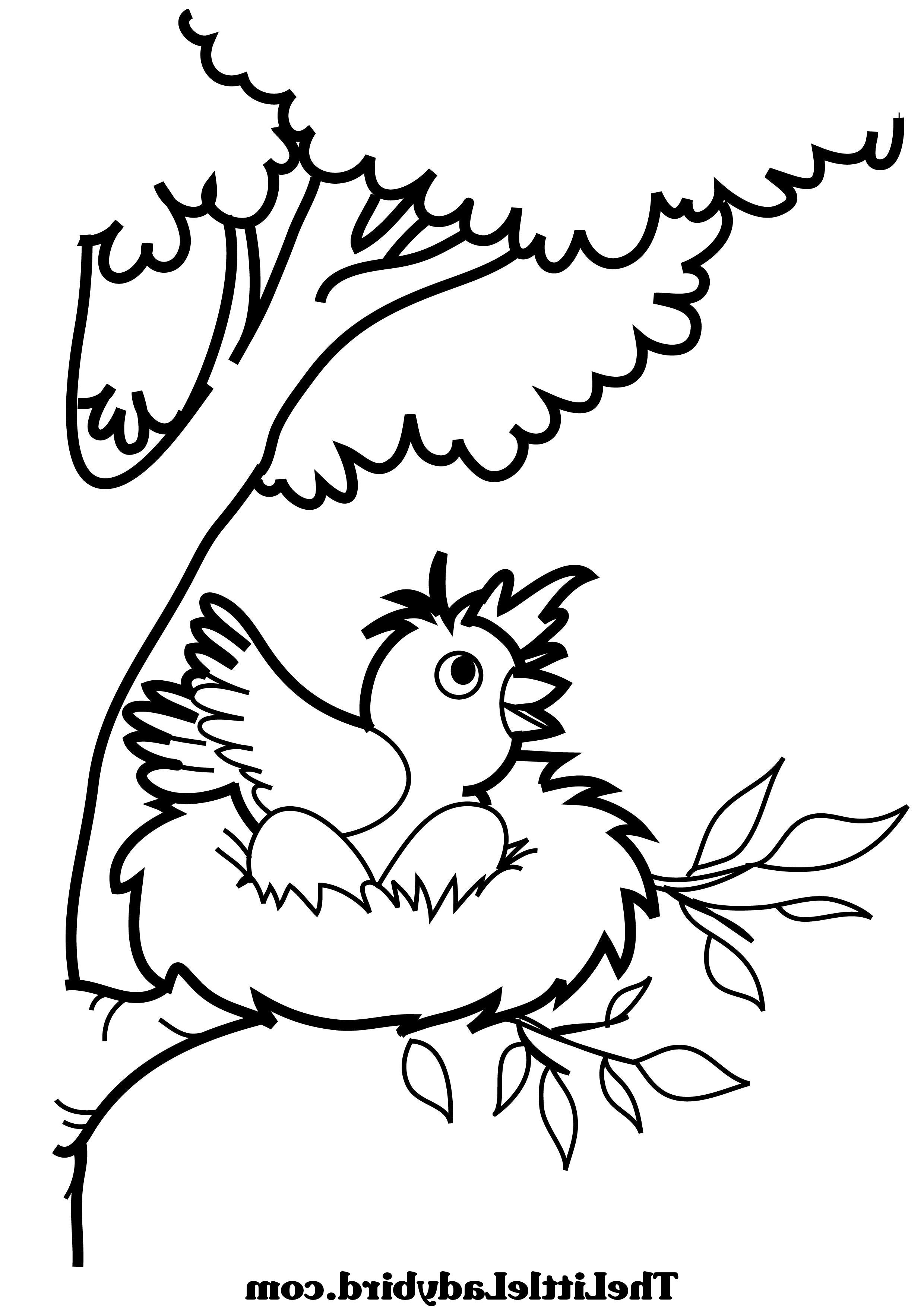 Bird Nest Coloring Page at GetDrawings | Free download
