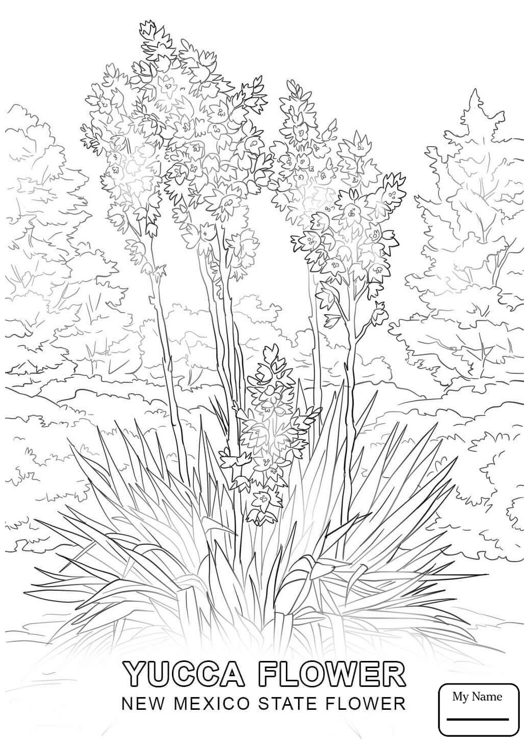 New Mexico Coloring Pages at GetDrawings | Free download