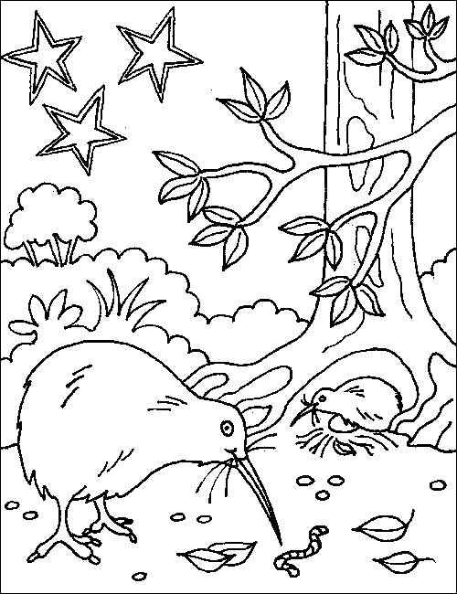 New Zealand Coloring Pages at GetDrawings | Free download