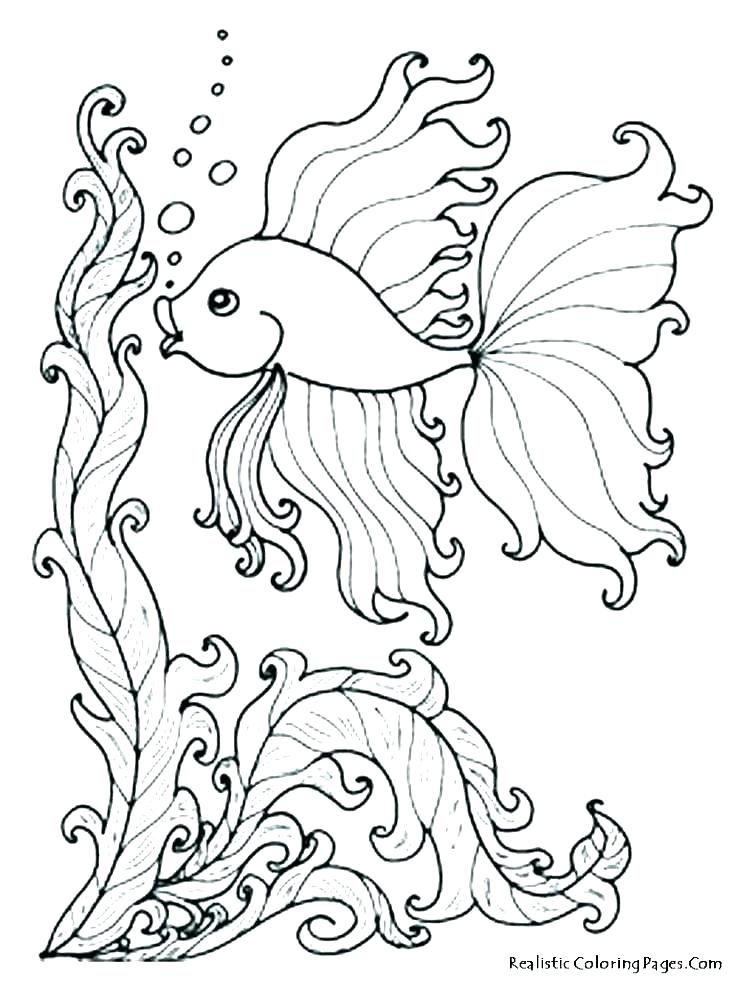Ocean Adult Coloring Pages at GetDrawings | Free download