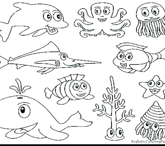 Ocean Animals Coloring Pages At Getdrawings Free Download