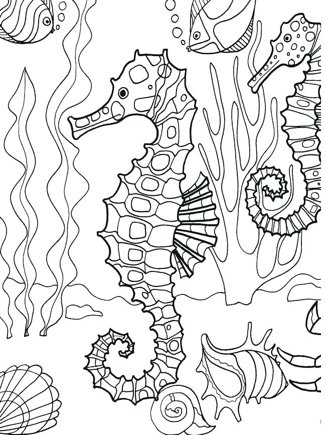 Sea Creatures Coloring Pages Printables - Ocean Creatures Coloring