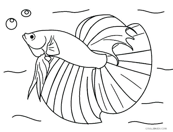 Ocean Fish Coloring Pages at GetDrawings | Free download