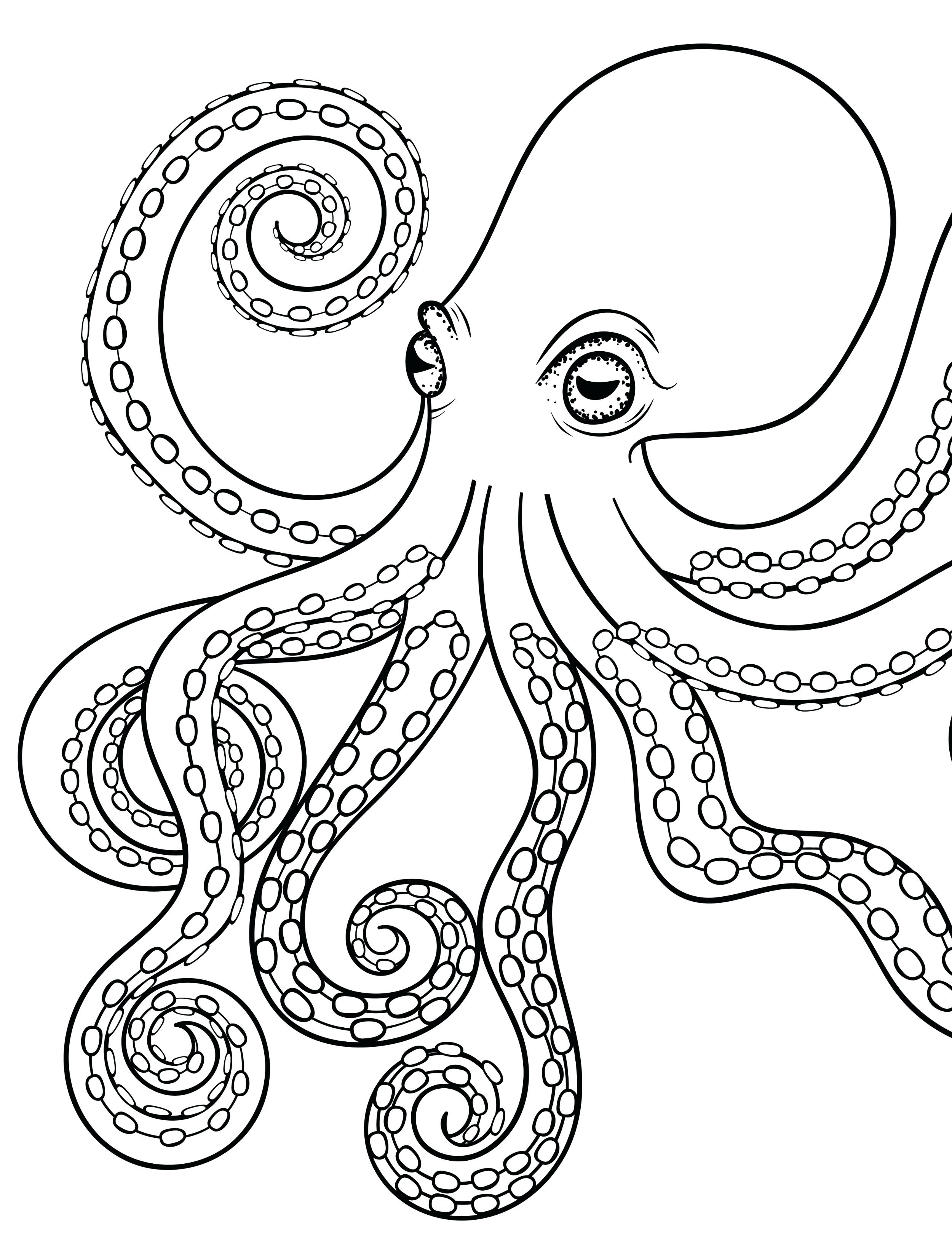 Baby Octopus Clipart at GetDrawings | Free download