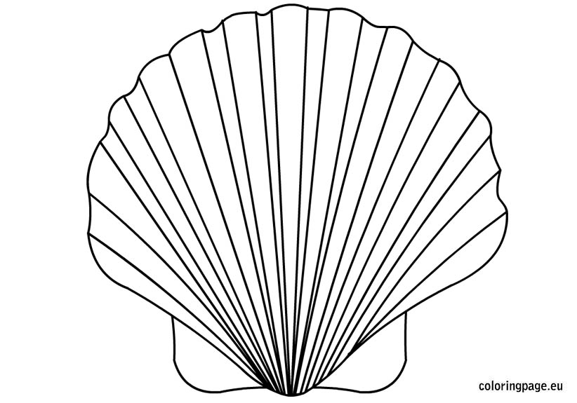 Oyster Shell Coloring Pages at GetDrawings | Free download
