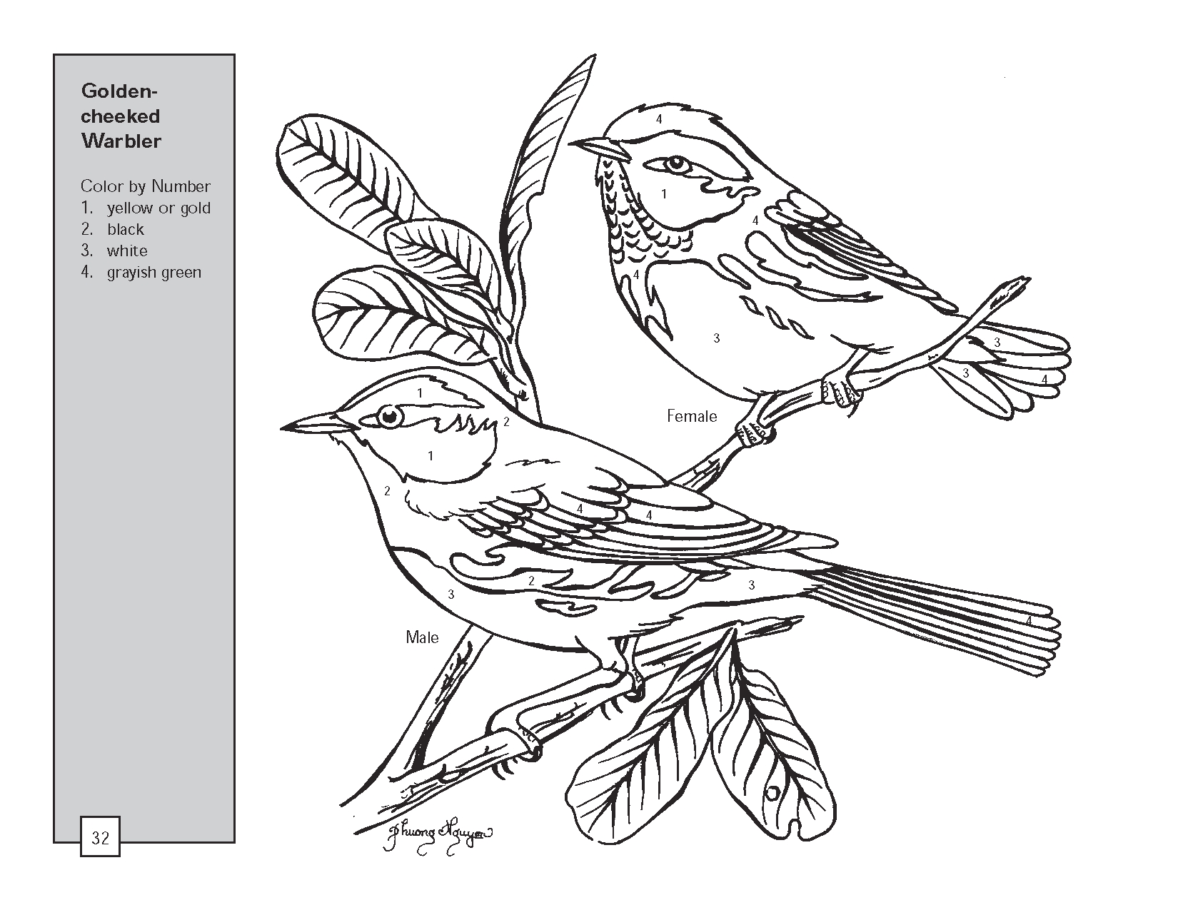 paint-by-number-coloring-pages-at-getdrawings-free-download
