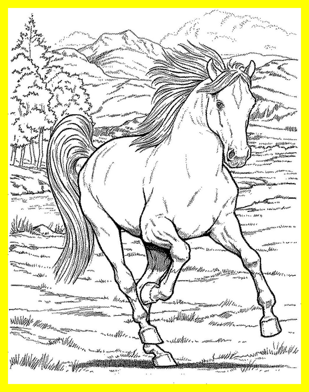 34 Paint Horse Coloring Pages - Free Printable Coloring Pages