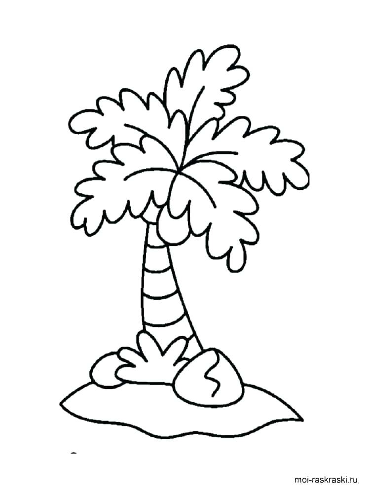 Palm Tree Coloring Pages At Getdrawings Free Download