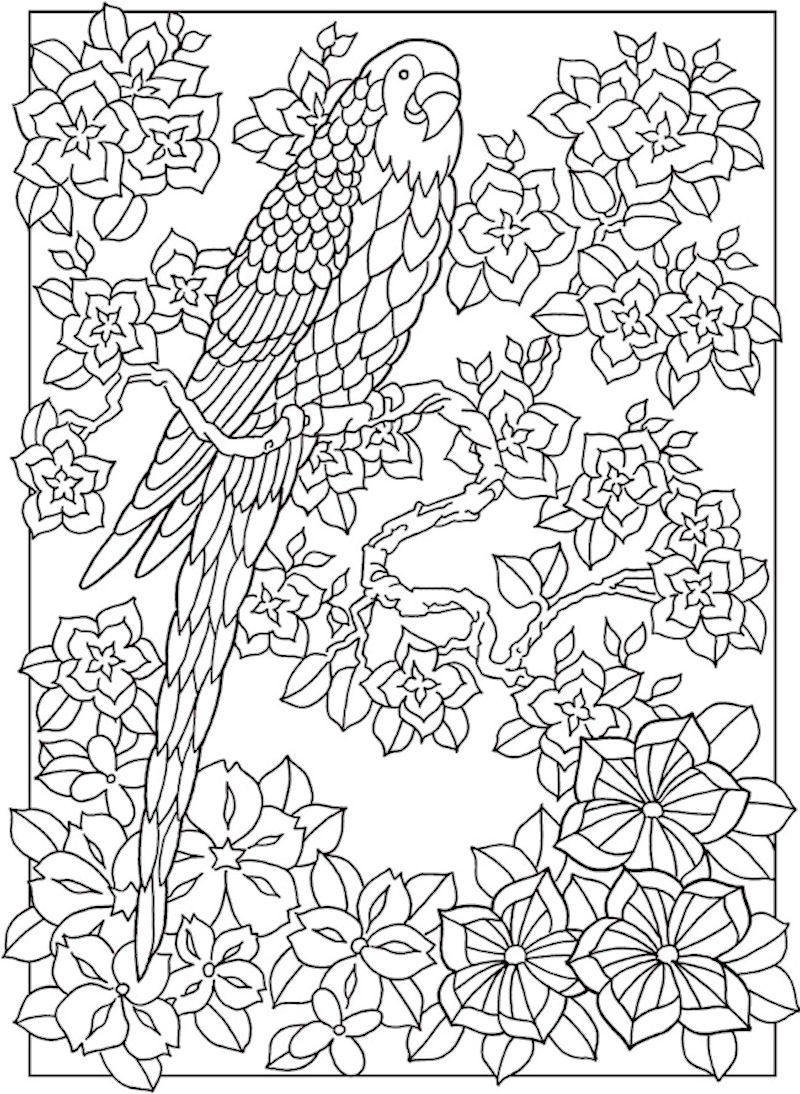 Paradise Coloring Pages At GetDrawings Free Download