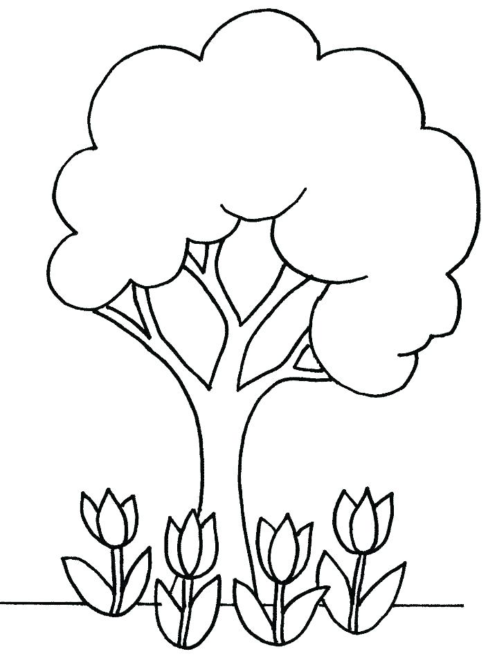 Parts Of A Plant Coloring Page at GetDrawings | Free download