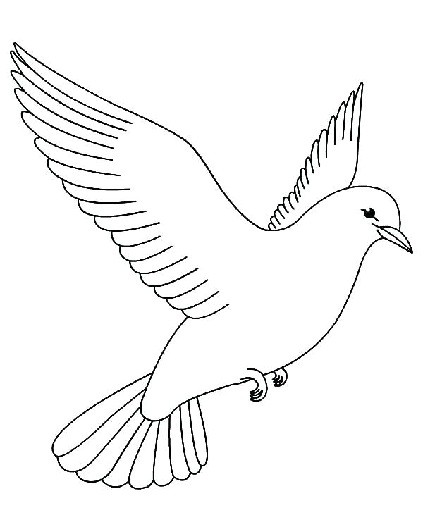 Ornate Dove Coloring Page