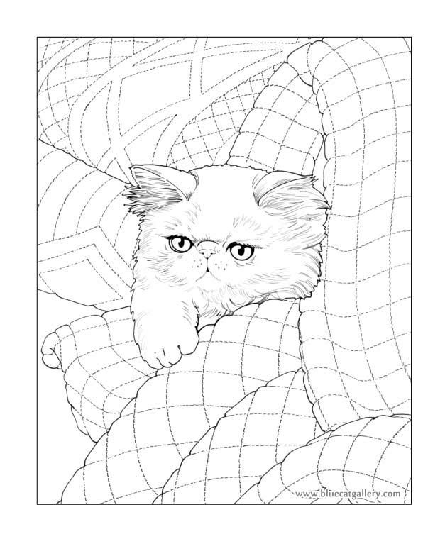 Persian Cat Coloring Page