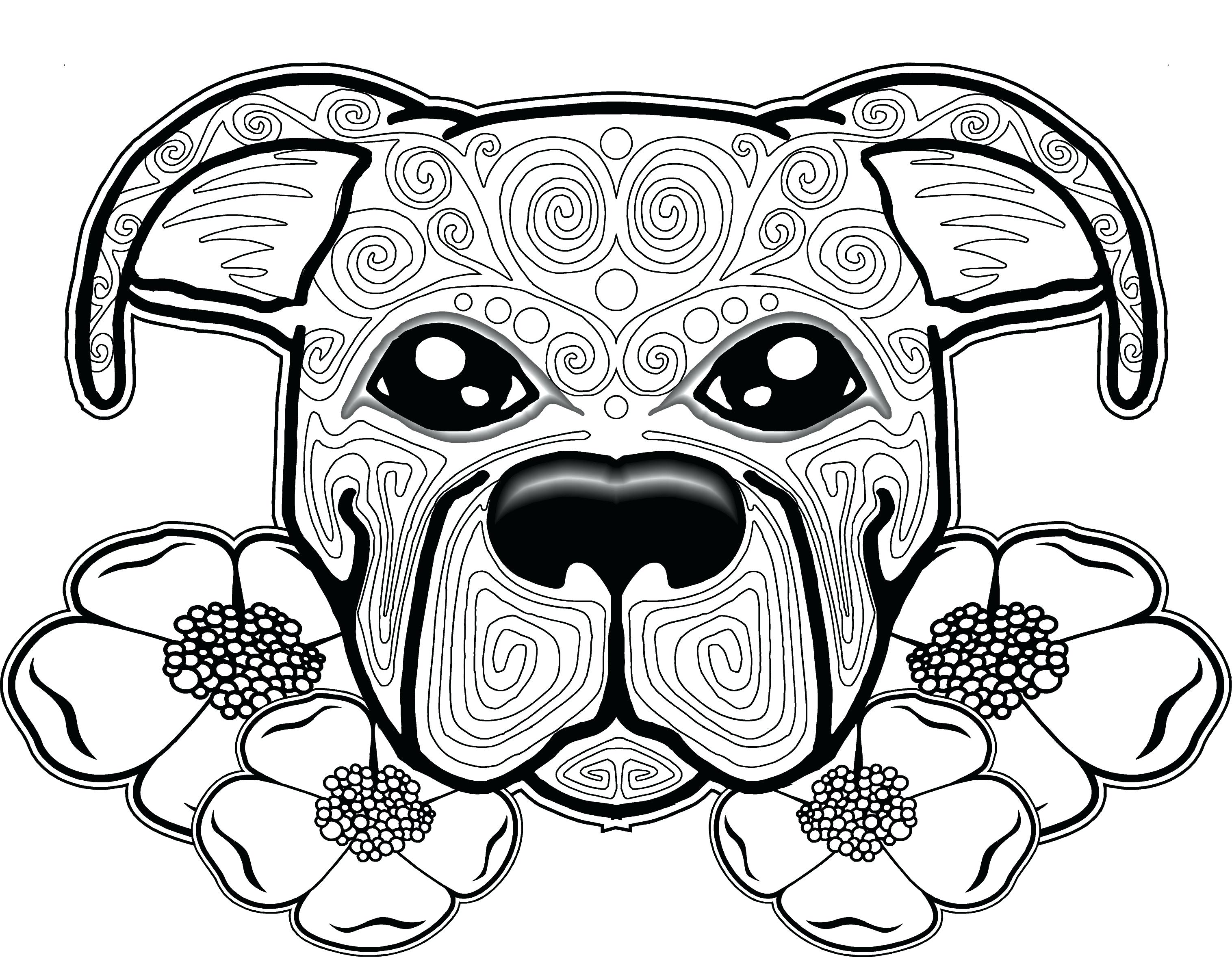 Pitbull Puppy Coloring Pages At GetDrawings Free Download