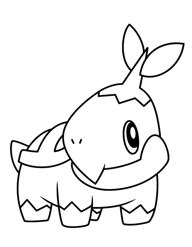 50. coloring page images for 'Turtwig'. 