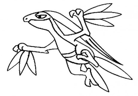 Pokemon Sceptile Coloring Pages at GetDrawings | Free download