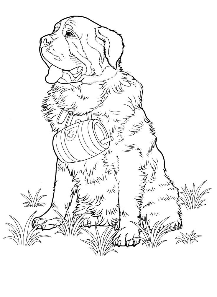 Police Dog Coloring Page at GetDrawings | Free download