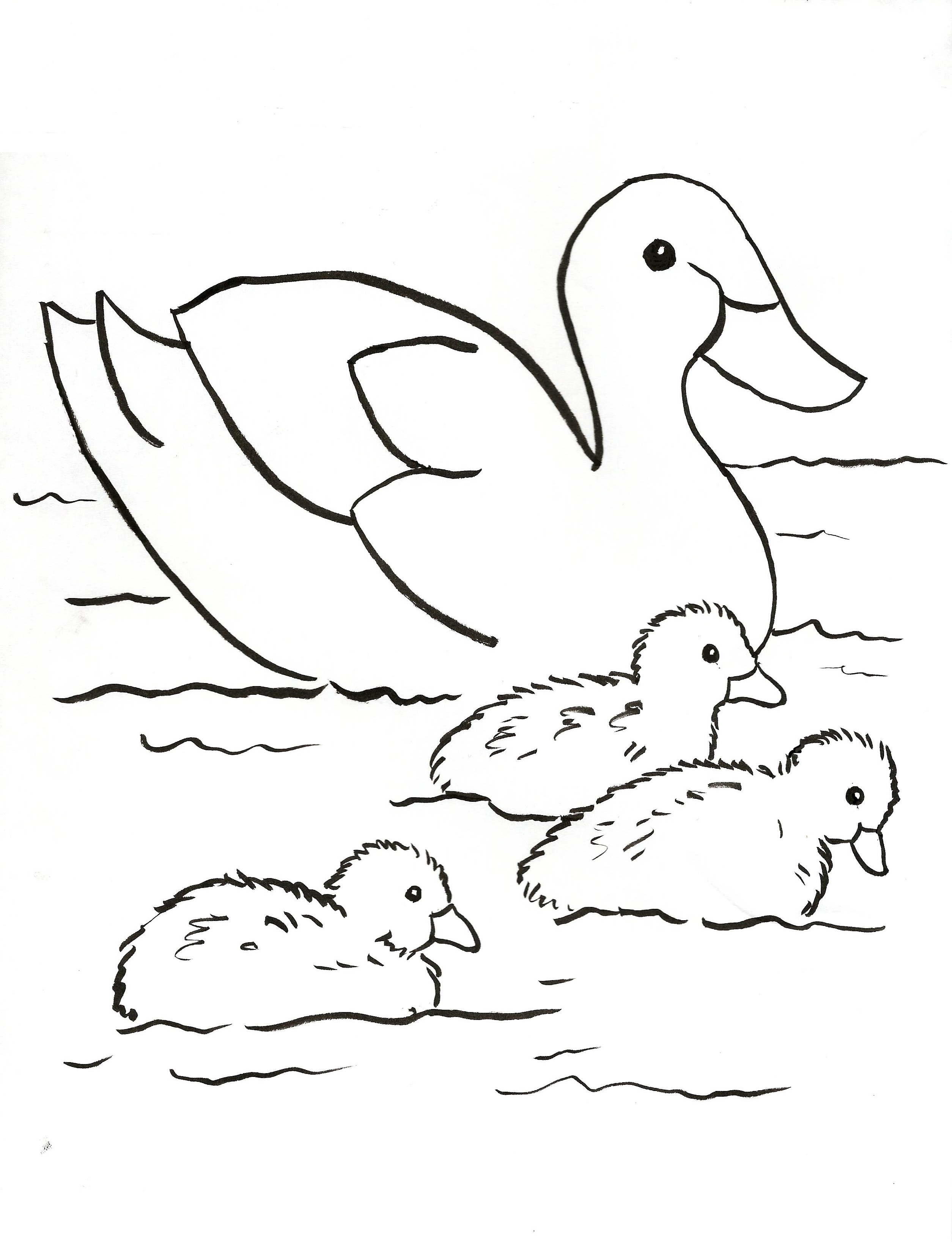 Pond Animals Coloring Pages at GetDrawings | Free download