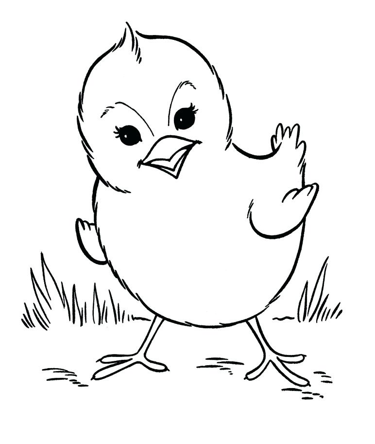 Preschool Farm Animal Coloring Pages At GetDrawings Free Download