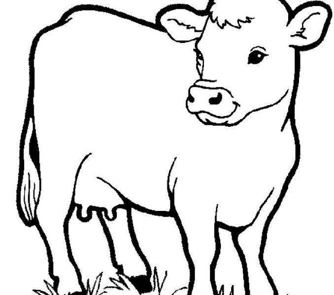 Preschool Farm Animal Coloring Pages at GetDrawings | Free download