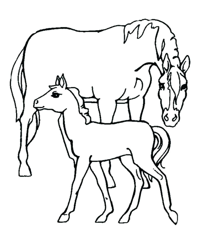 preschool-farm-animal-coloring-pages-at-getdrawings-free-download