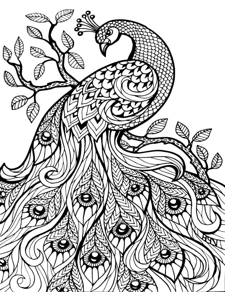 Pretty Coloring Pages at GetDrawings | Free download