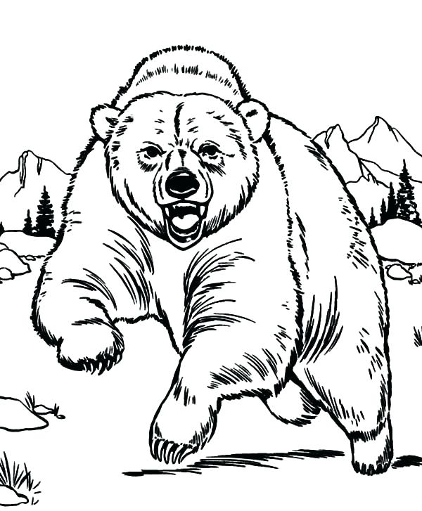 Printable Bear Coloring Pages - Coloring Pages 2019