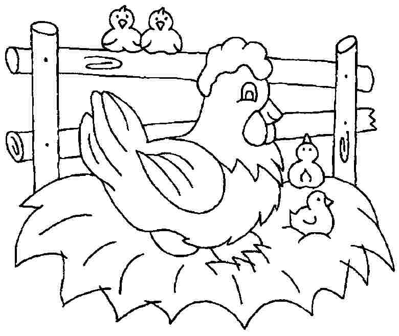 Printable Chicken Coloring Pages at GetDrawings | Free download