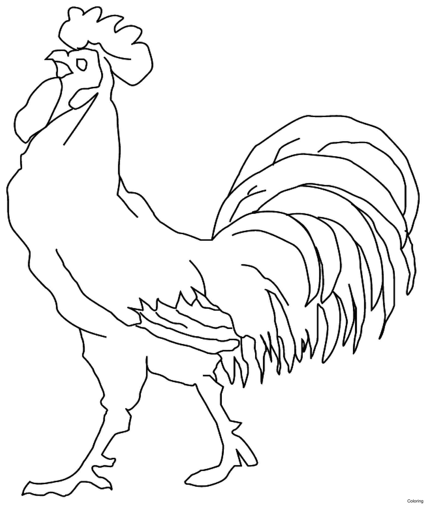 Printable Chicken Coloring Pages At GetDrawings Free Download