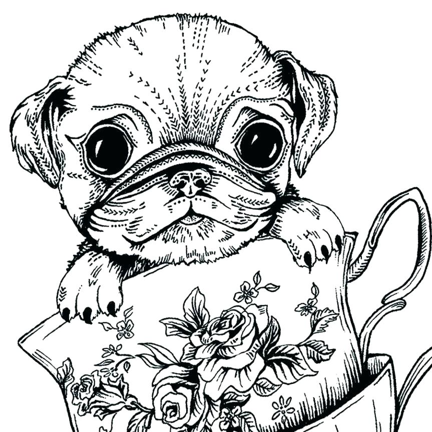 Printable Pug Coloring Pages at GetDrawings.com | Free for personal use Printable Pug Coloring ...