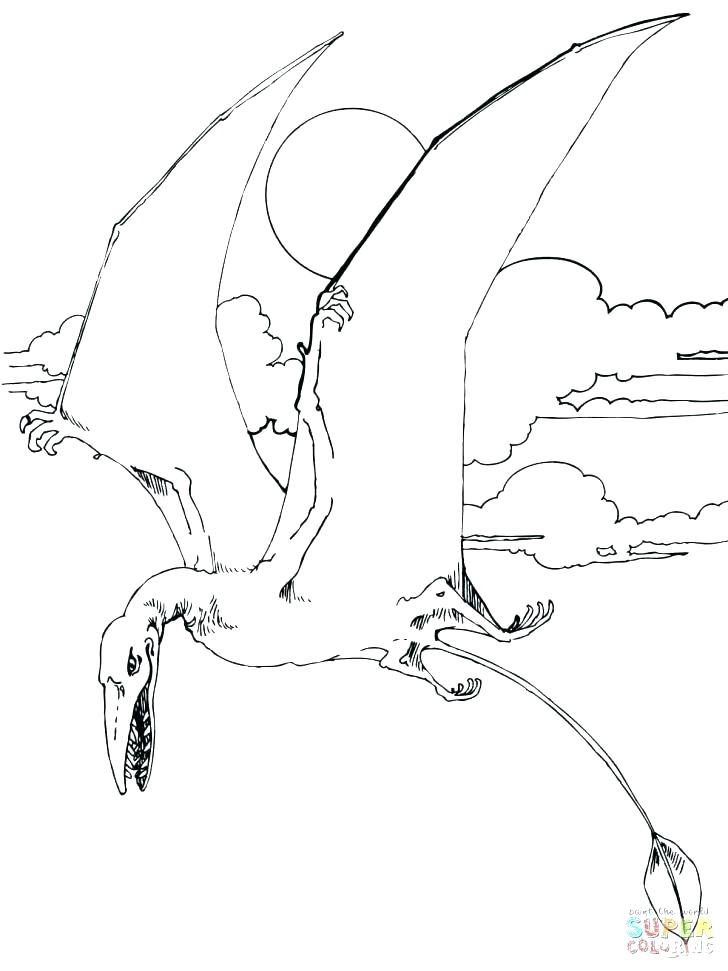 pteranodon coloring page