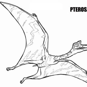 pteranodon coloring page