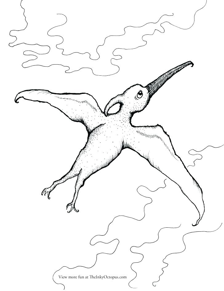 pterodactyl coloring page